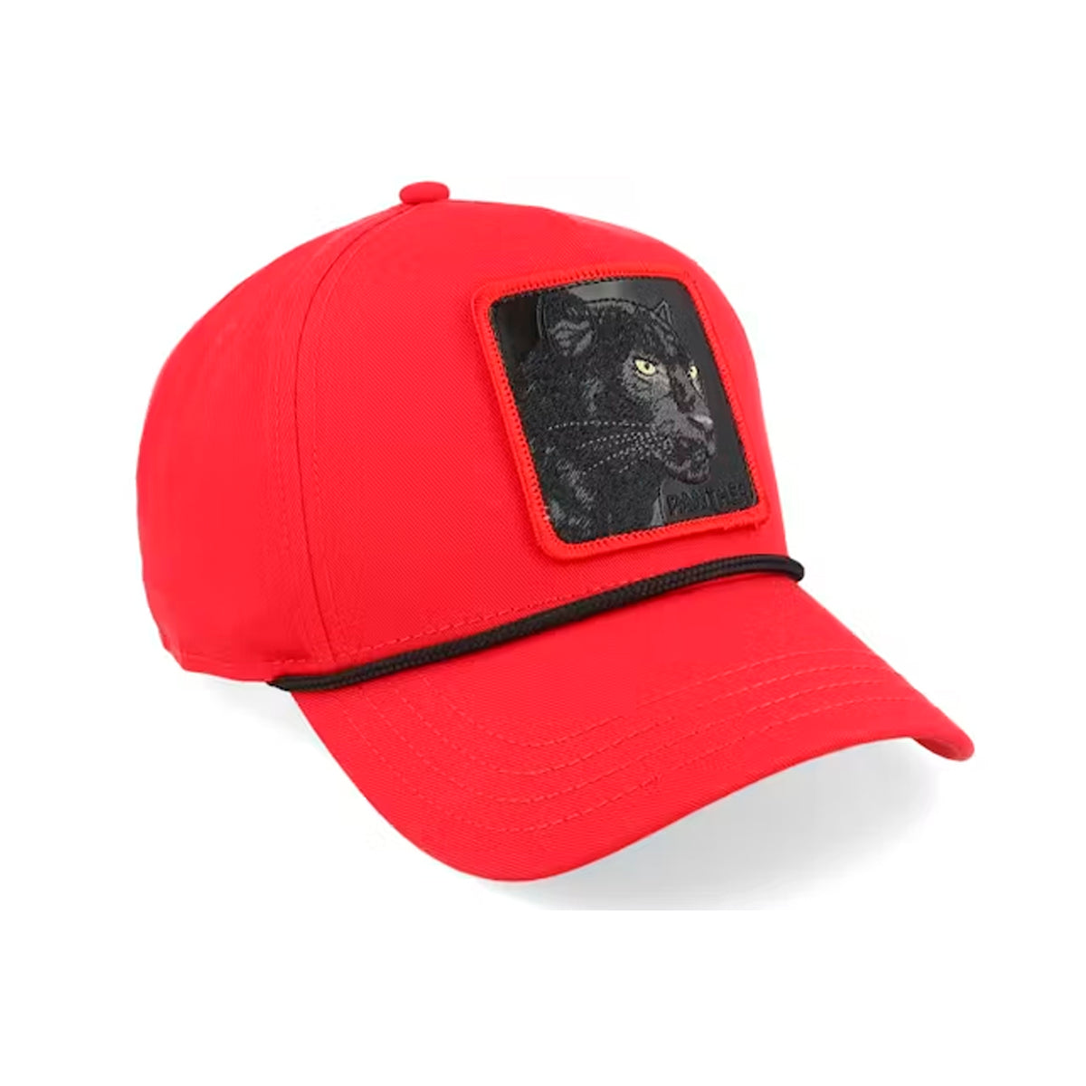 GORRA GOORIN BROS PANTHER