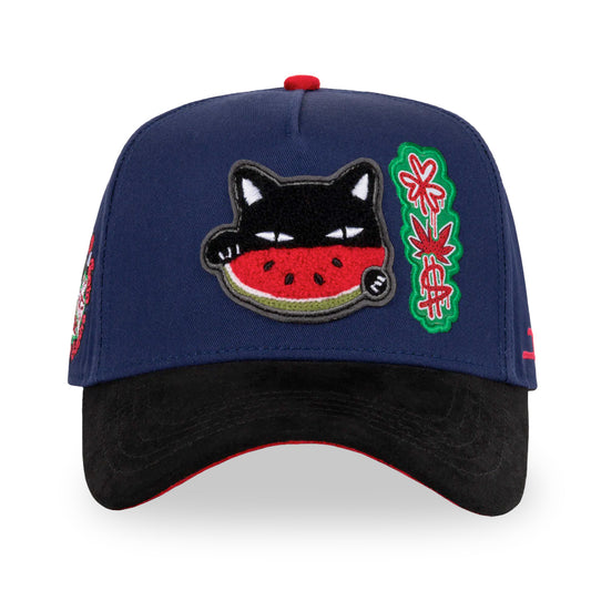 GORRA JC HATS WATERMELON CAT BLUE